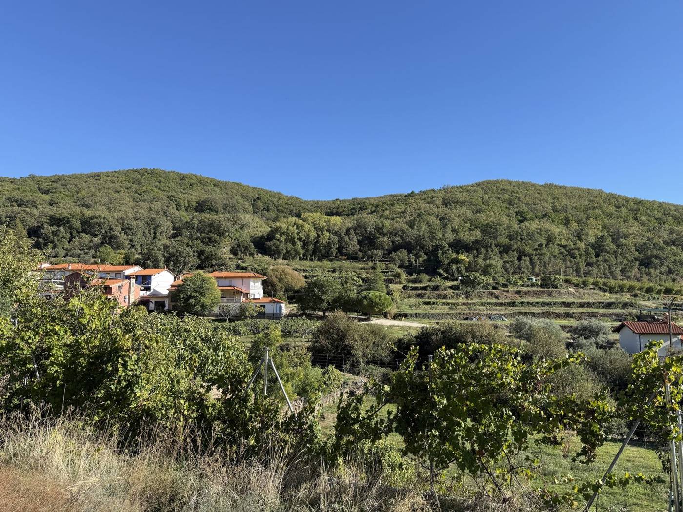 El pueblo y las laderas de La Vera